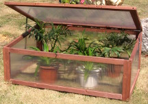 Cold frame for vegetable growing