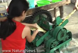 A Twain Child Slave Making Sugar Water for Mike Adams