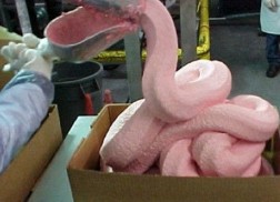 Pink Slime Beef Product known as Lean Finely Textured Beef