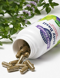 Supplemental capsules of holy basil by Wild Harvest